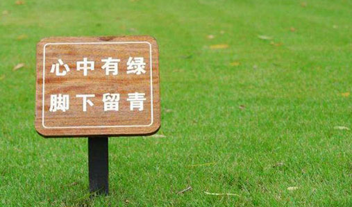 現在公園標識設計都純在哪些問題？